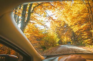 Hertz Autumn Sale